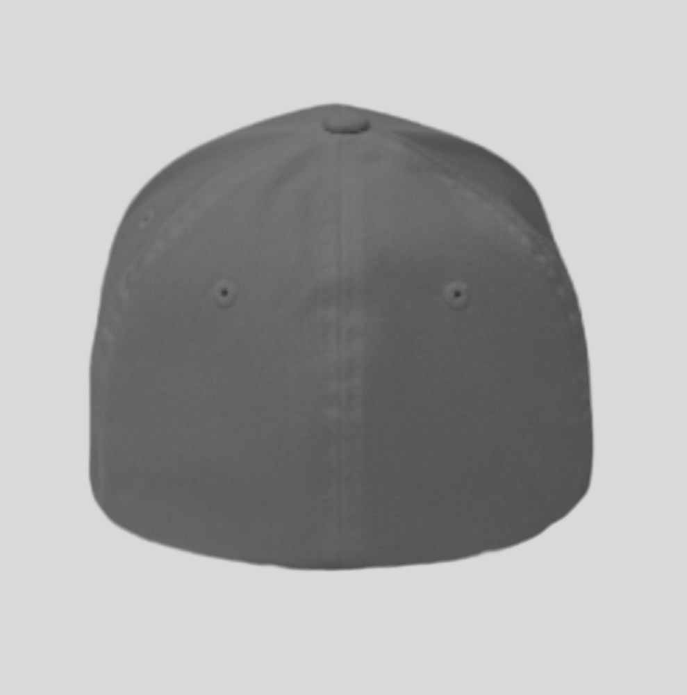 Origanal Steeze cap grey