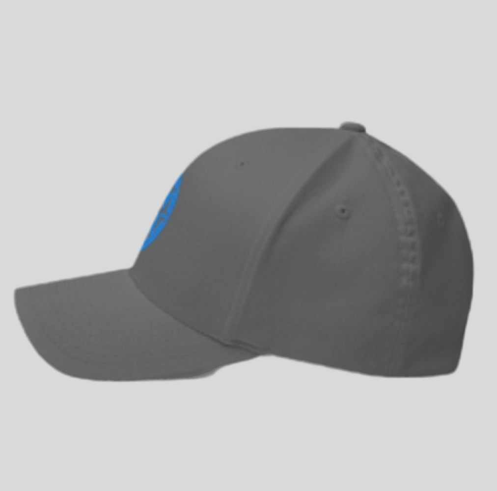 Origanal Steeze cap grey